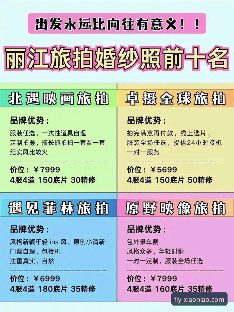 小鸟平台登录官网入口与新手教程常见问题全面评测