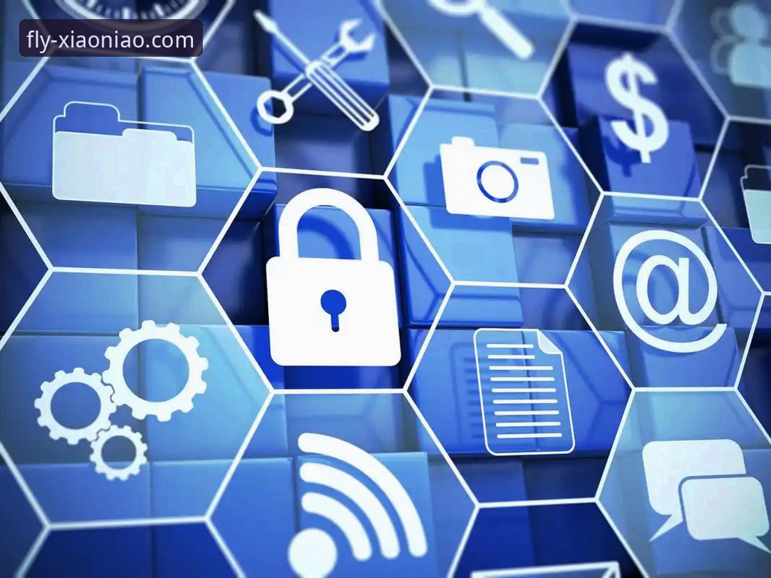 小鸟平台登录可靠性与安全性详解