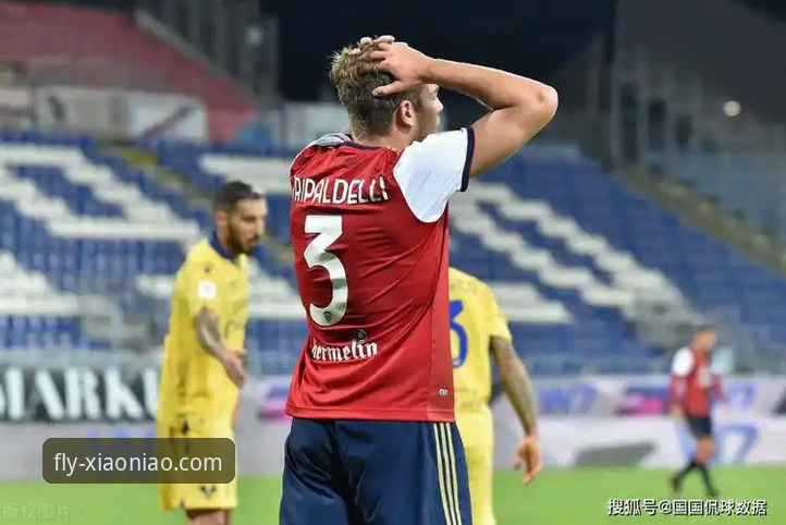 <h2>如何通过小鸟平台登录官网,深度解读一场5-0的意甲焦点战</h2>