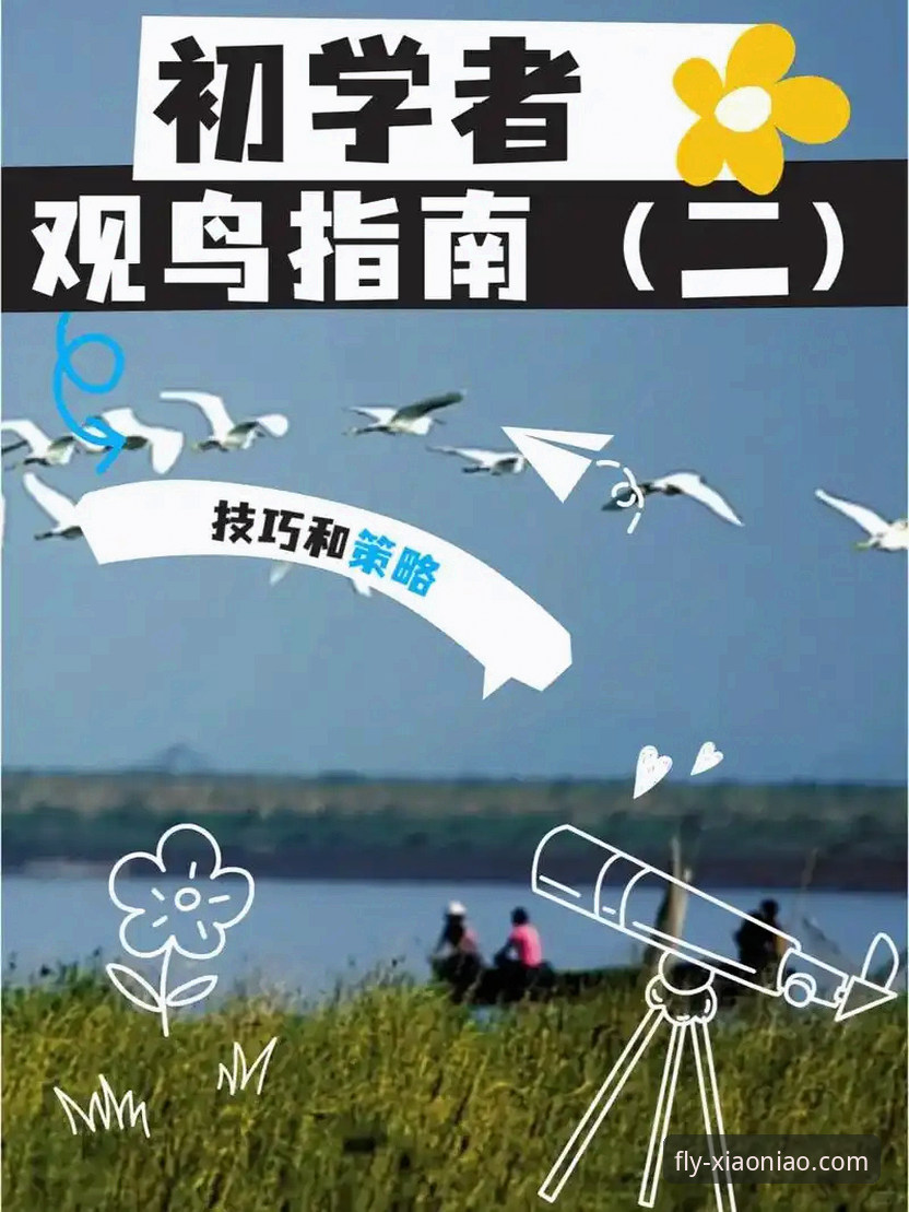 小鸟平台登录与安装:一份面向未来的实用指南