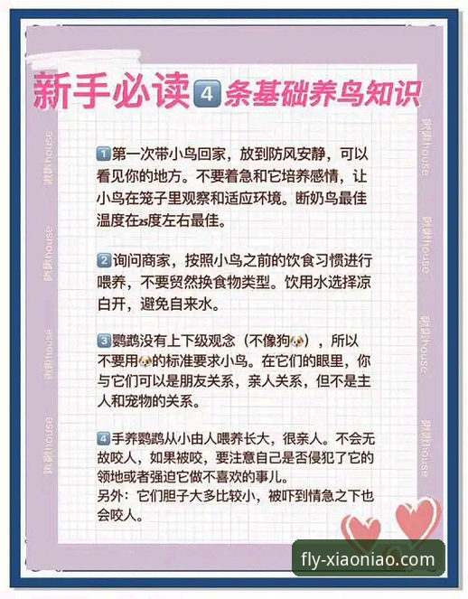 3个核心维度，深度解析小鸟平台登录官网的独特价值