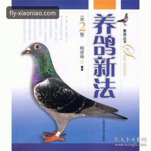 掌握小鸟平台登录官网新功能：实用技巧与必备知识