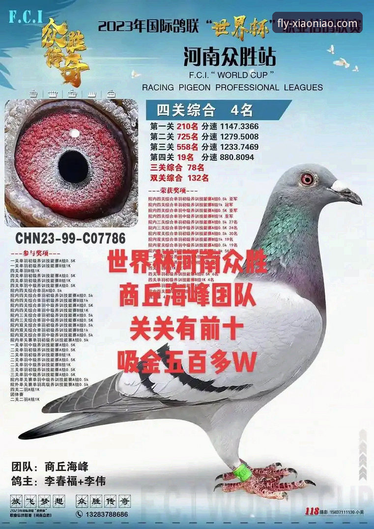 世界杯排名变动观察：利用小鸟平台登录指南获取赛事最新动态的实用技巧