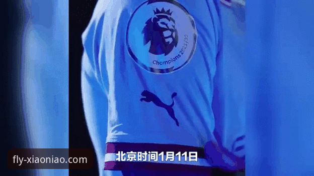 欧洲足坛转会市场动态:使用小鸟平台登录获取最新资讯的完整指南